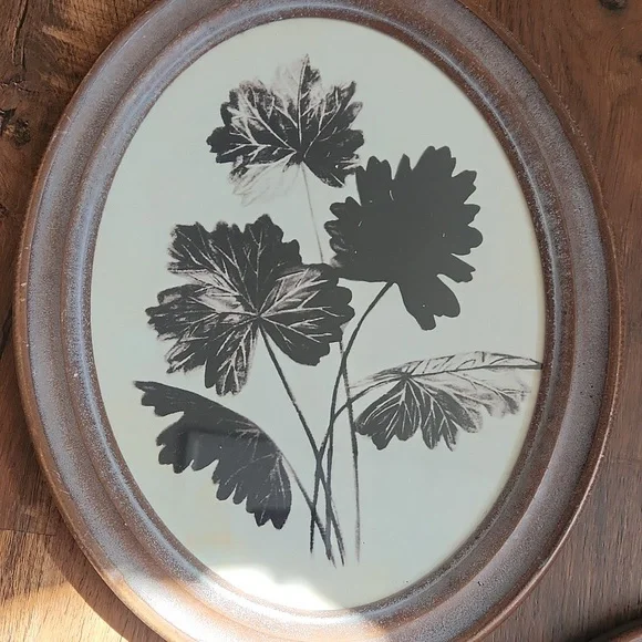 Framed floral prints